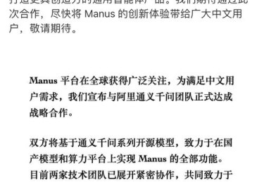 阿里尔，阿里和manus合作