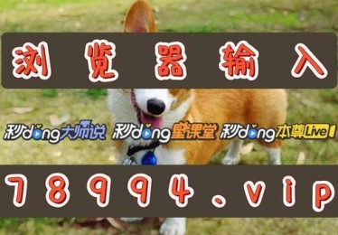 清晰对账：B体育app帮助AG真人用户把握盈亏，推进理性行为，b体育官网