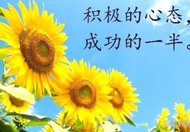 B体育官网分享意甲中的成功心态培养方法，保持积极心态赢取胜利