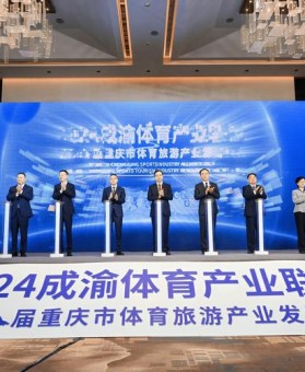 B体育深度分析：从基础到进阶，全面解析百家乐玩法