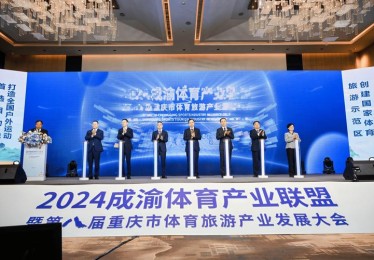 B体育深度分析：从基础到进阶，全面解析百家乐玩法
