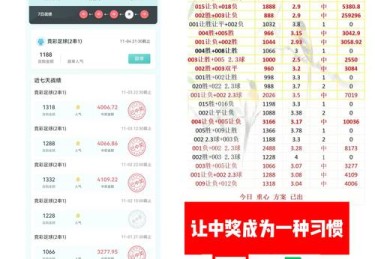 B体育官网专家团队教您如何在德甲竞猜中规避常见误区，实现高效投注