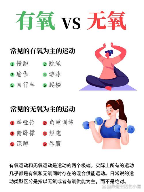 B体育app:举重运动的力量与灵活性结合,举重运动训练