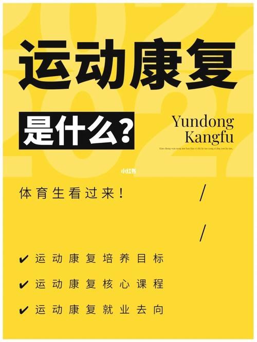 B体育app走访球员康复中心,揭示高强度赛季背后,医疗团队和运动防护的重要性